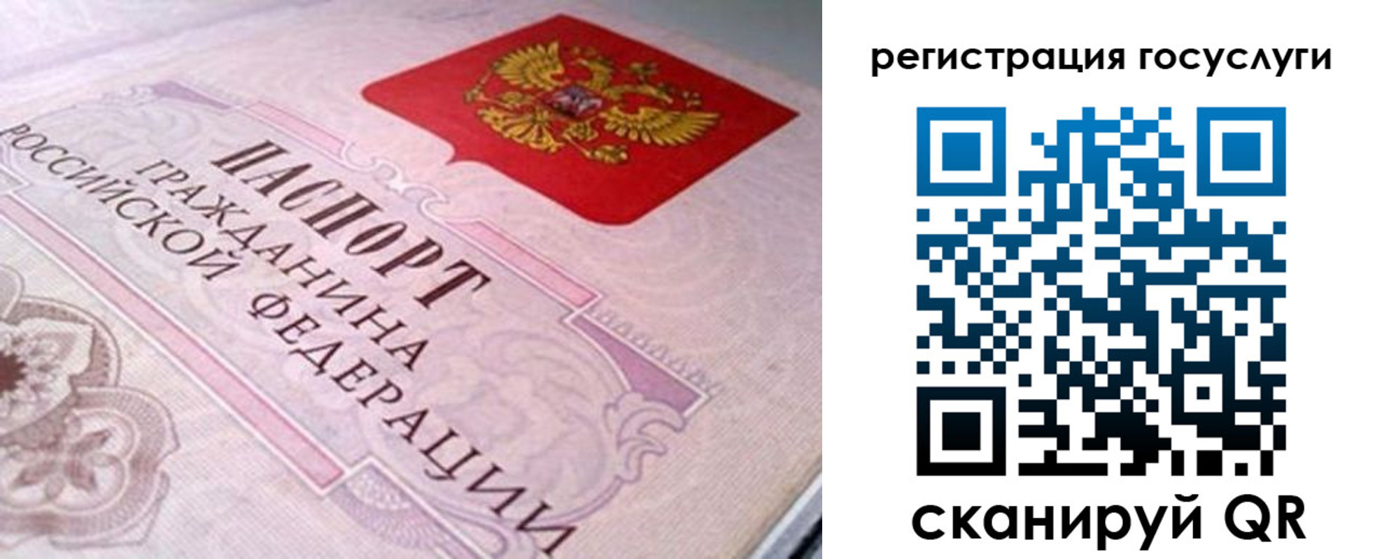 где прописаться в Ярославской области